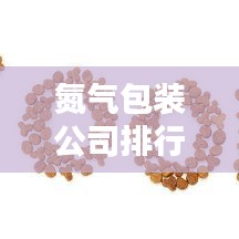 氮气包装公司排行榜TOP榜及行业深度分析