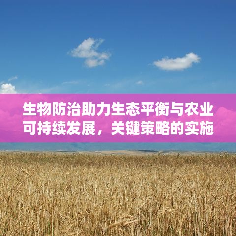 生物防治助力生态平衡与农业可持续发展，关键策略的实施之路