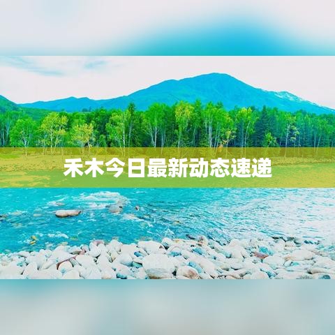 禾木今日最新动态速递