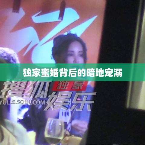 衣无二彩 第2页