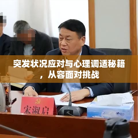 突发状况应对与心理调适秘籍，从容面对挑战
