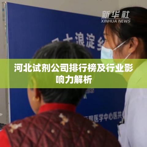 河北试剂公司排行榜及行业影响力解析