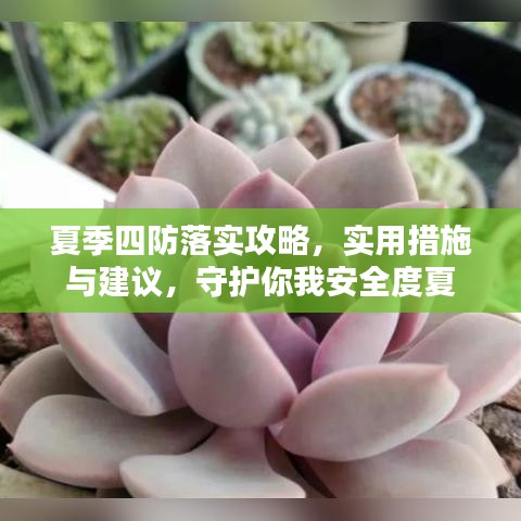 夏季四防落实攻略，实用措施与建议，守护你我安全度夏