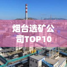 烟台选矿公司TOP10榜单，行业权威排名大揭秘！