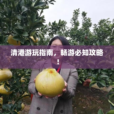 清港游玩指南，畅游必知攻略！