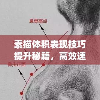 素描体积表现技巧提升秘籍，高效速成攻略！