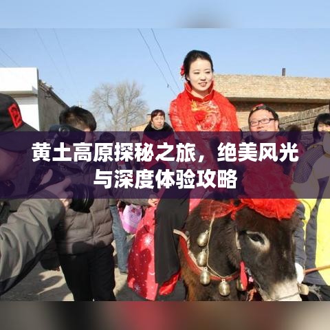 黄土高原探秘之旅，绝美风光与深度体验攻略