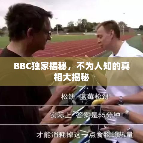BBC独家揭秘，不为人知的真相大揭秘