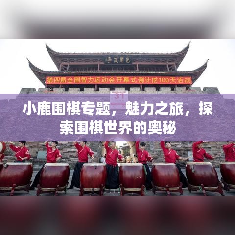 小鹿围棋专题，魅力之旅，探索围棋世界的奥秘