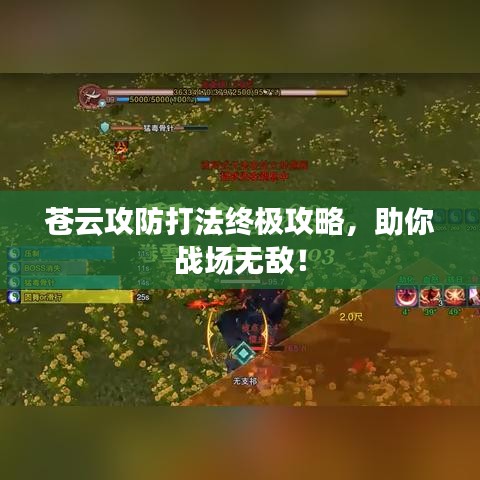 苍云攻防打法终极攻略，助你战场无敌！
