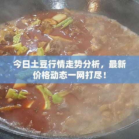 今日土豆行情走势分析，最新价格动态一网打尽！