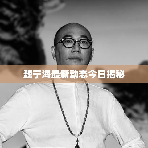魏宁海最新动态今日揭秘
