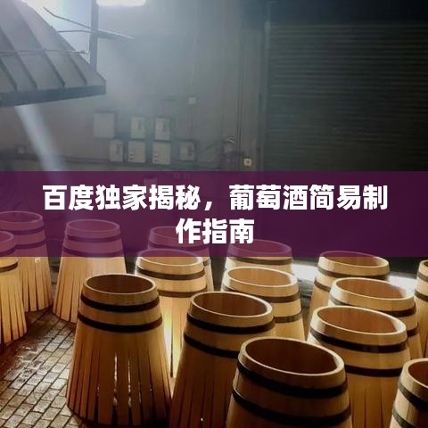 百度独家揭秘，葡萄酒简易制作指南