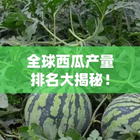 全球西瓜产量排名大揭秘！