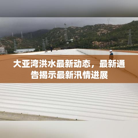 大亚湾洪水最新动态，最新通告揭示最新汛情进展