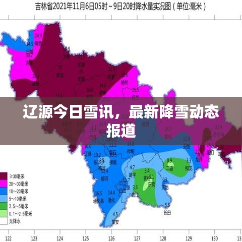 辽源今日雪讯，最新降雪动态报道