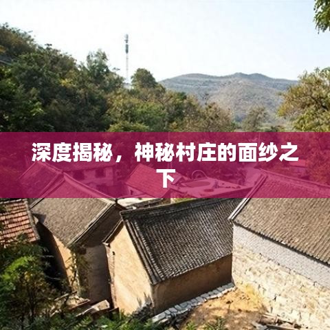 深度揭秘，神秘村庄的面纱之下