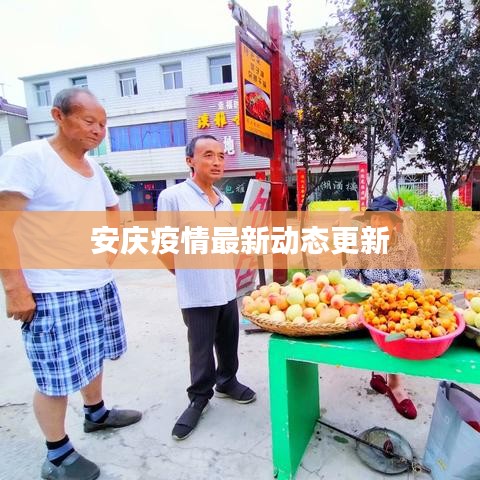 安庆疫情最新动态更新