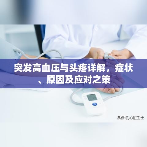 突发高血压与头疼详解，症状、原因及应对之策
