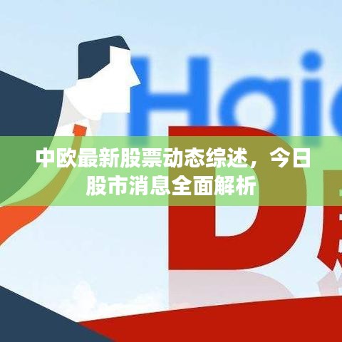 中欧最新股票动态综述，今日股市消息全面解析