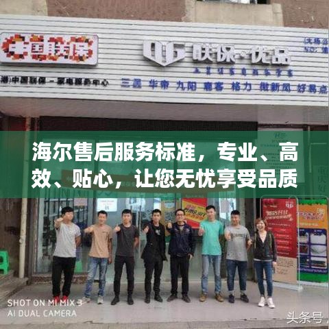 海尔售后服务标准，专业、高效、贴心，让您无忧享受品质生活