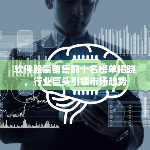 软件股票销售前十名榜单揭晓，行业巨头引领市场趋势