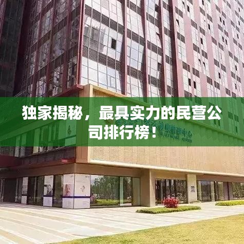 独家揭秘，最具实力的民营公司排行榜！