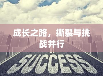 成长之路，撕裂与挑战并行