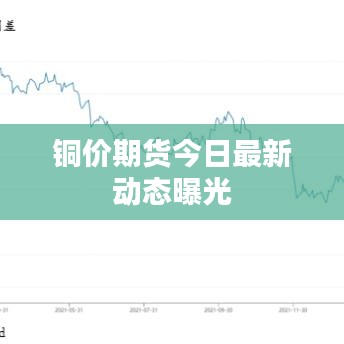 铜价期货今日最新动态曝光
