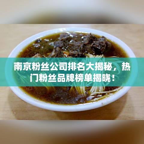 南京粉丝公司排名大揭秘，热门粉丝品牌榜单揭晓！