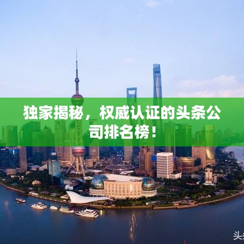 独家揭秘，权威认证的头条公司排名榜！