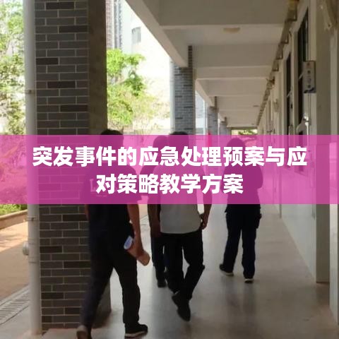 突发事件的应急处理预案与应对策略教学方案