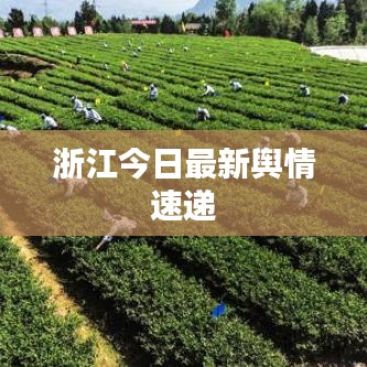 浙江今日最新舆情速递