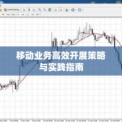 移动业务高效开展策略与实践指南