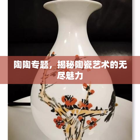 陶陶专题，揭秘陶瓷艺术的无尽魅力