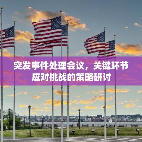 突发事件处理会议，关键环节应对挑战的策略研讨