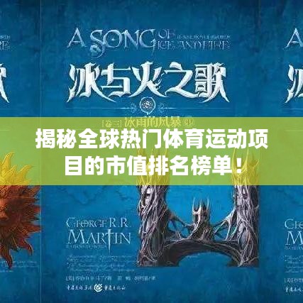 揭秘全球热门体育运动项目的市值排名榜单！