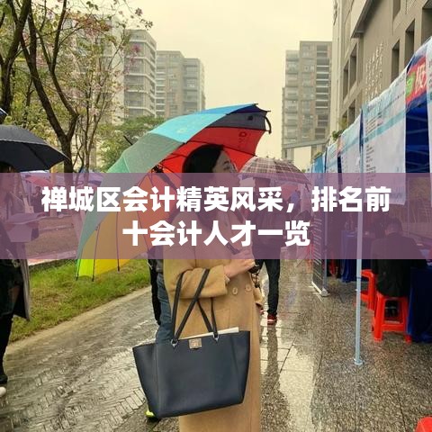 禅城区会计精英风采，排名前十会计人才一览