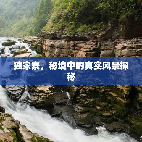 行疾如飞