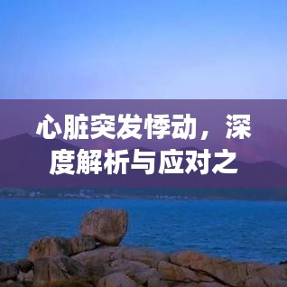 心脏突发悸动，深度解析与应对之道