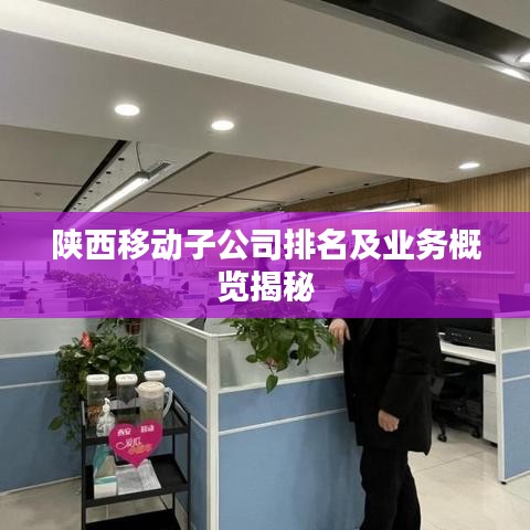 陕西移动子公司排名及业务概览揭秘