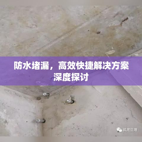 防水堵漏，高效快捷解决方案深度探讨