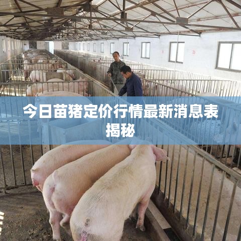 今日苗猪定价行情最新消息表揭秘