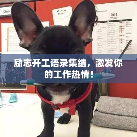 励志开工语录集结，激发你的工作热情！