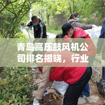 青岛高压鼓风机公司排名揭晓，行业领军者榜单出炉！