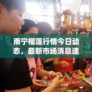 南宁榴莲行情今日动态，最新市场消息速递