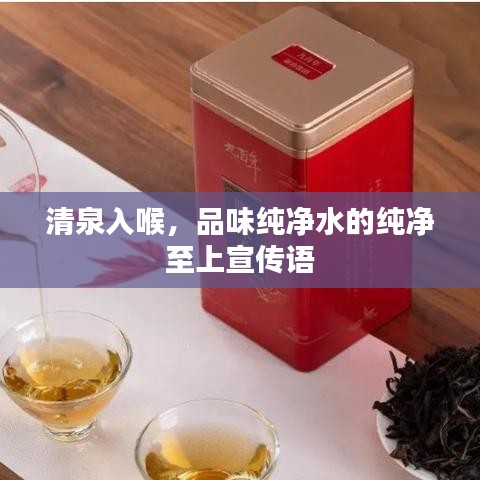 清泉入喉，品味纯净水的纯净至上宣传语