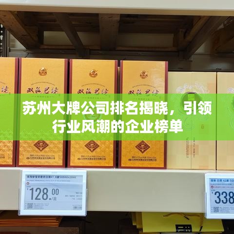 苏州大牌公司排名揭晓，引领行业风潮的企业榜单