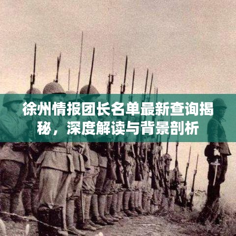 徐州情报团长名单最新查询揭秘，深度解读与背景剖析