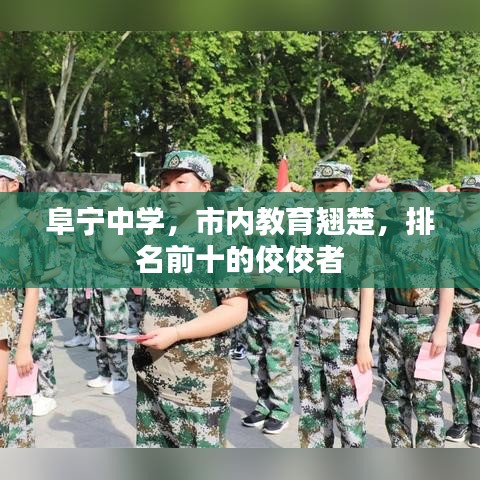 阜宁中学，市内教育翘楚，排名前十的佼佼者